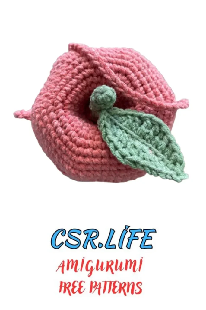 Apple Pouch Amigurumi